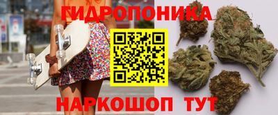 гашик Рязань