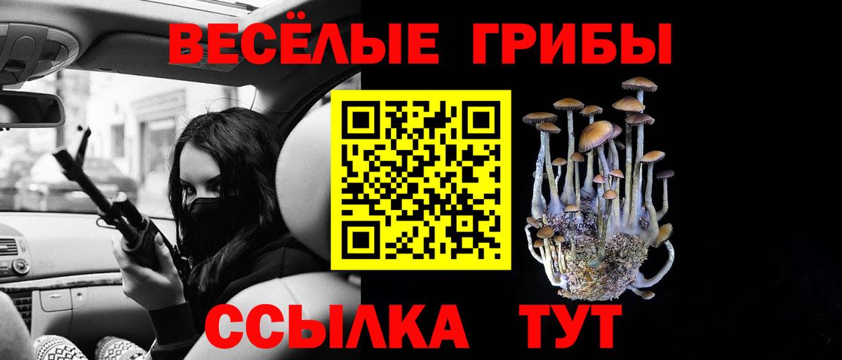 Галлюциногенные грибы Psilocybine cubensis Фурманов